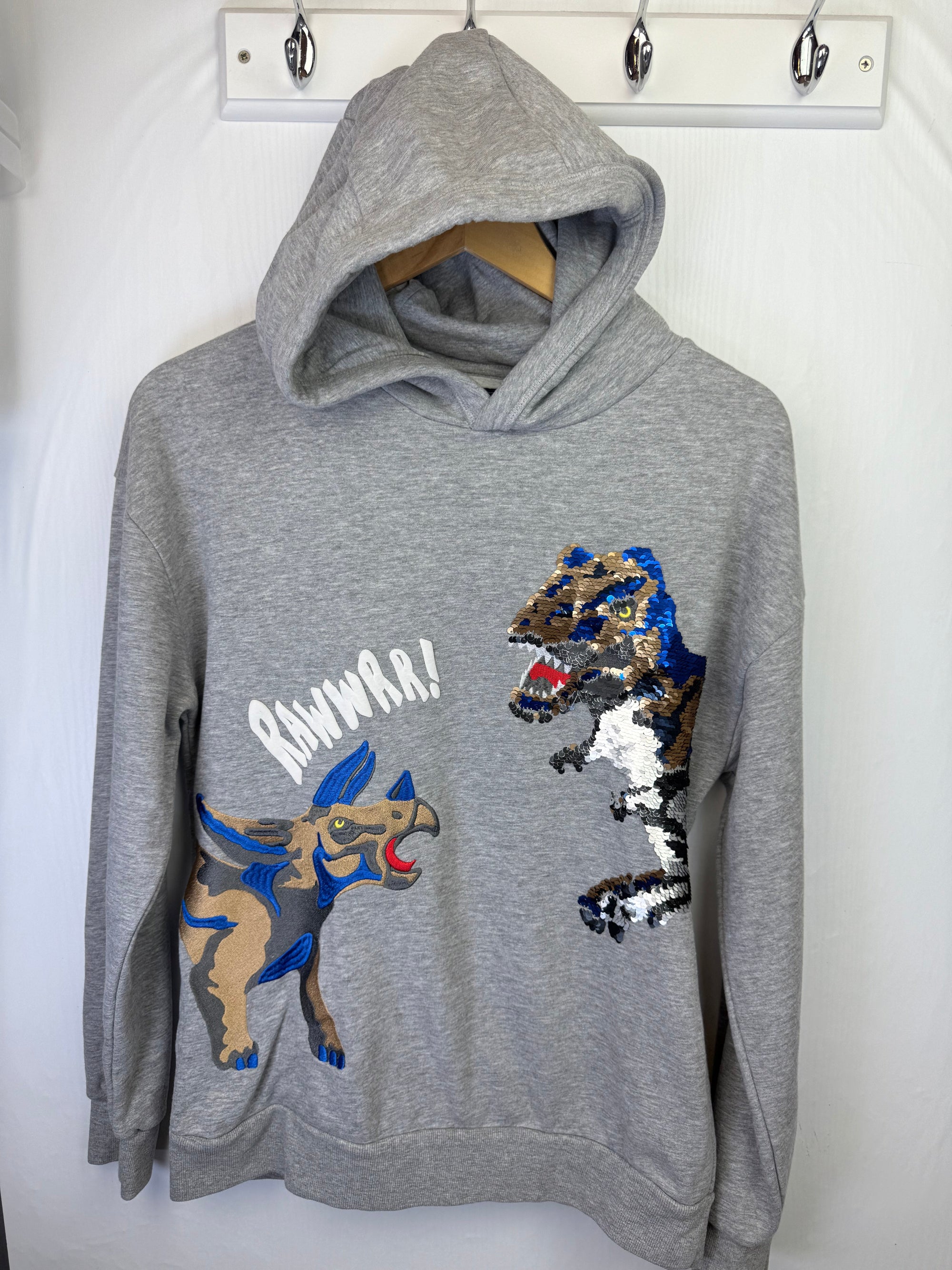 Next Dinosaur Sequin Hoodie - Boys 14 Years - Little Ones Preloved. Second Hand Children's & Preloved Baby, Kids, Girls & Boys Clothes. UK online