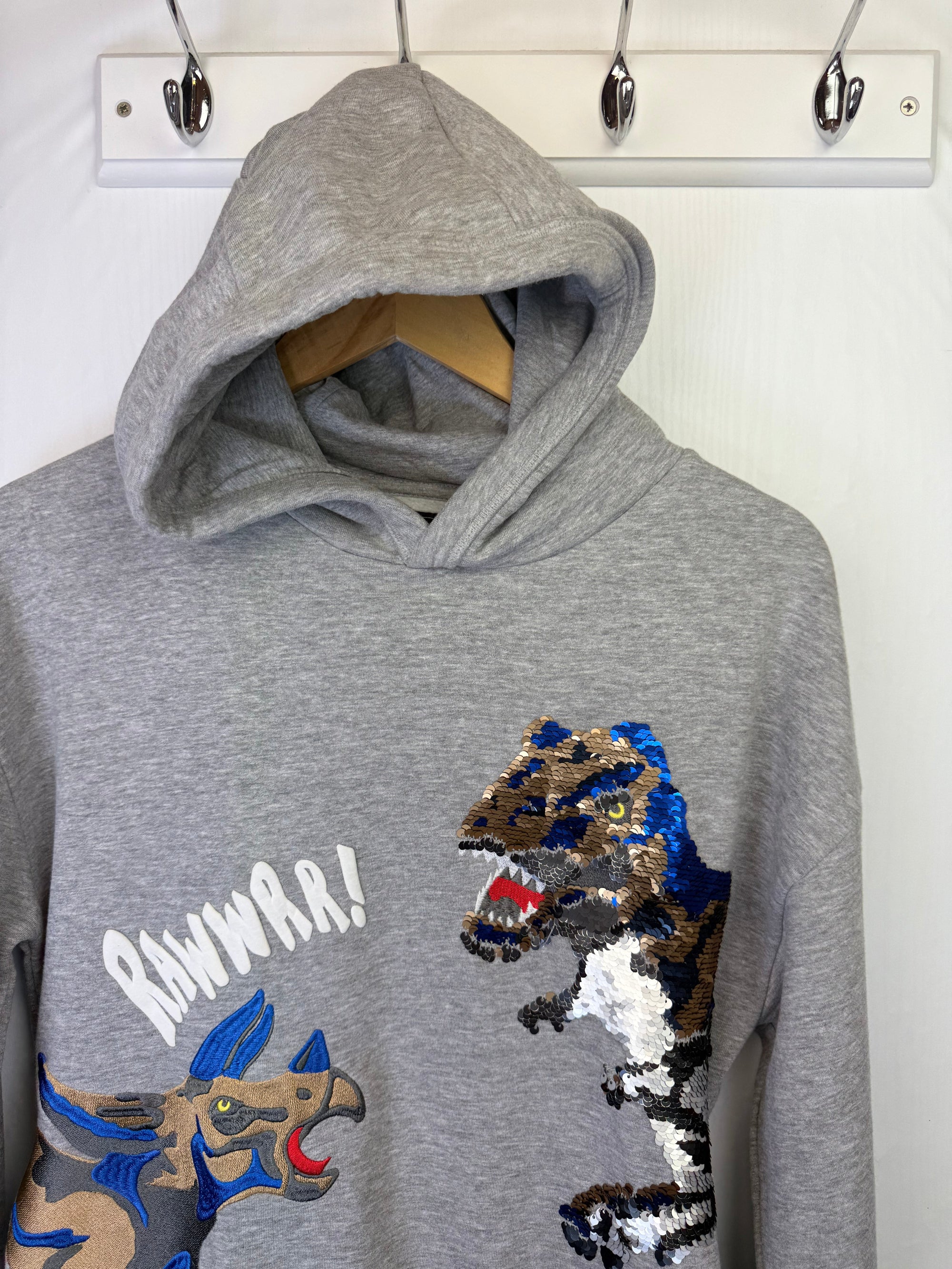 Next Dinosaur Sequin Hoodie - Boys 14 Years - Little Ones Preloved. Second Hand Children's & Preloved Baby, Kids, Girls & Boys Clothes. UK online