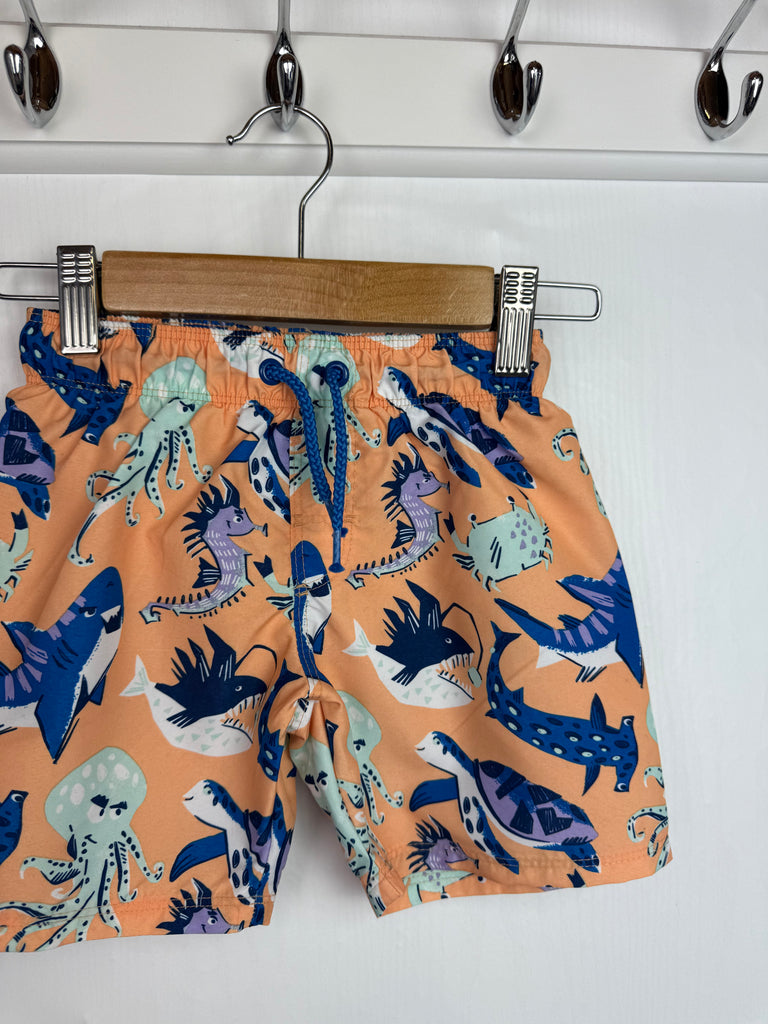 H&M Under The Sea Swim Shorts - Boys 2-4 Years Little Ones Preloved Second Hand Baby, Girls & Boys Clothes. UK Postage