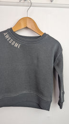 Blue Zoo Grey Awesome Jumper - Boys 6 - 9 Months - Little Ones Preloved. Second Hand Children's & Preloved Baby, Kids, Girls & Boys Clothes. UK online