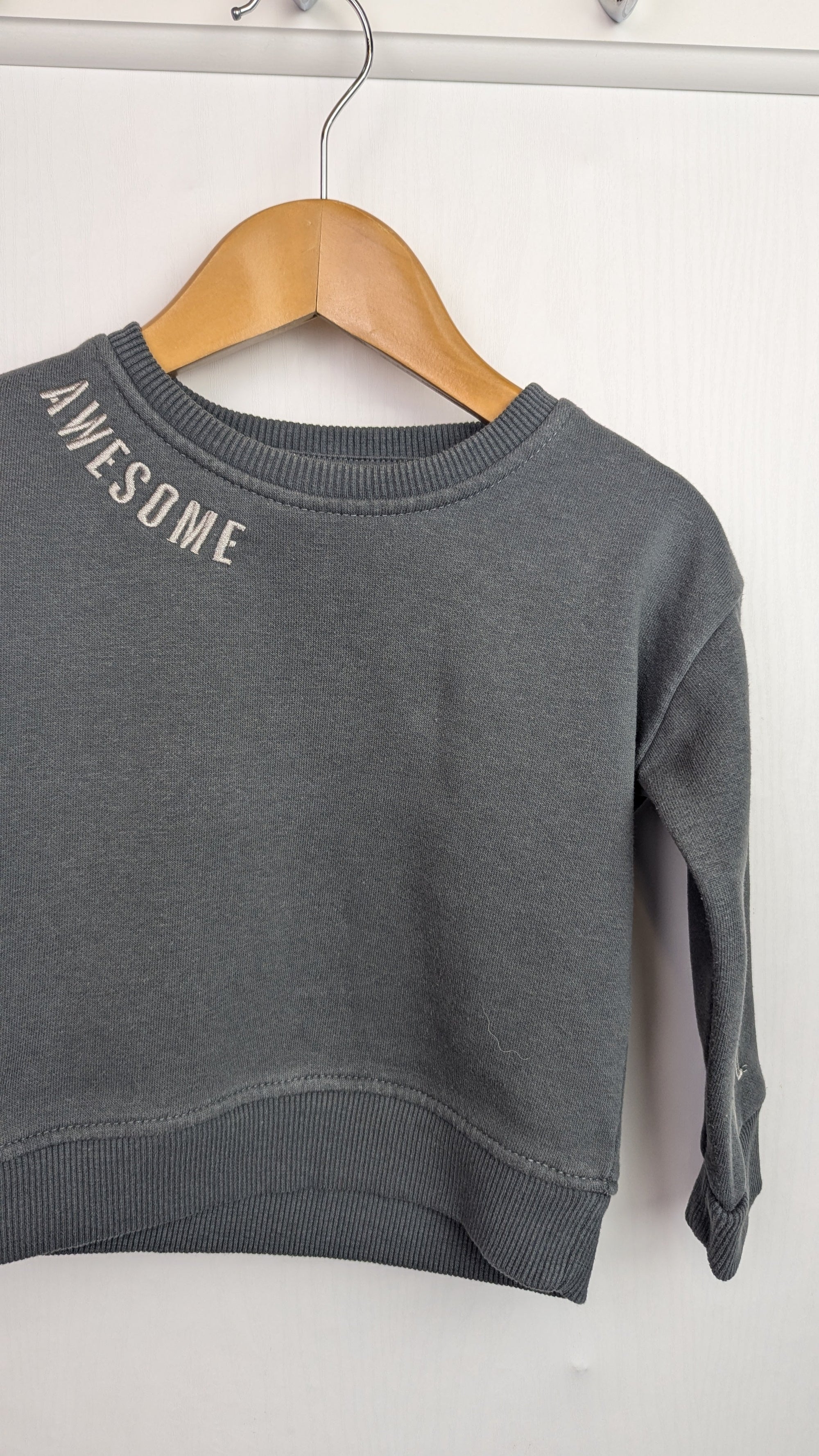 Blue Zoo Grey Awesome Jumper - Boys 6 - 9 Months - Little Ones Preloved. Second Hand Children's & Preloved Baby, Kids, Girls & Boys Clothes. UK online