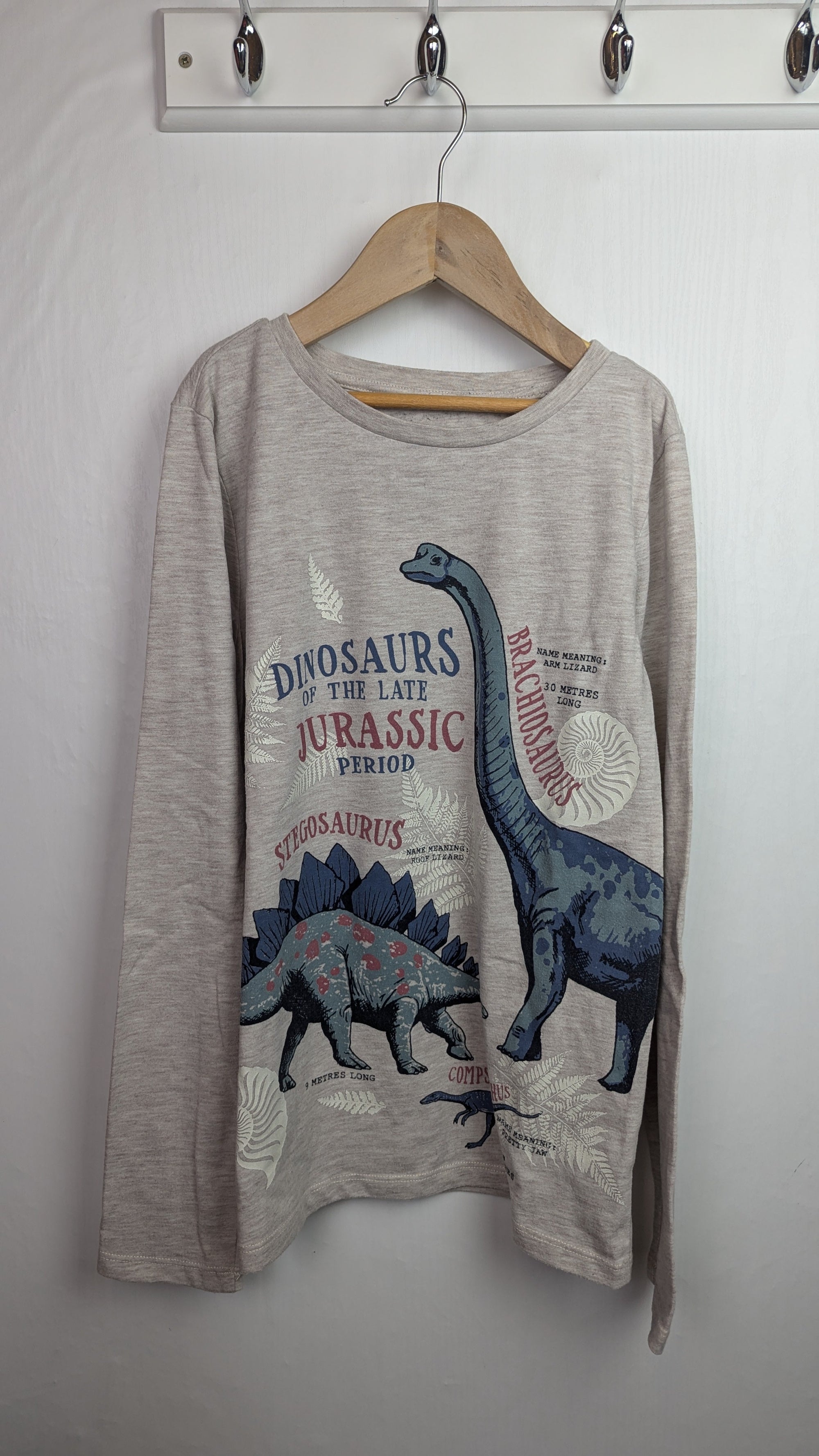 FatFace Natural History Dinosaur Top - Unisex 12 - 13 Years - Little Ones Preloved. Second Hand Children's & Preloved Baby, Kids, Girls & Boys Clothes. UK online