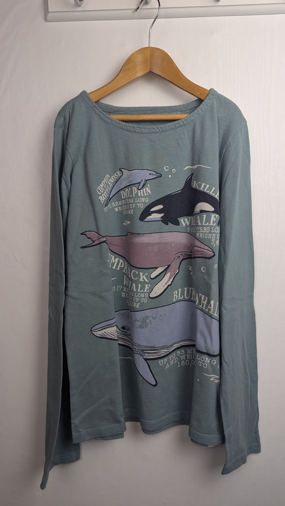 FatFace Natural History Museum Whale Top - Girls12-13 Years Little Ones Preloved Used, Preloved, Preworn & Second Hand Baby, Kids & Children's Clothing UK Online. Cheap affordable. Brands including Next, Joules, Nutmeg Morrisons, TU, F&F, H&M.