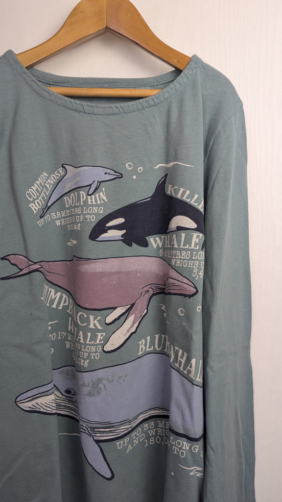 FatFace Natural History Museum Whale Top - Girls12-13 Years Little Ones Preloved Used, Preloved, Preworn & Second Hand Baby, Kids & Children's Clothing UK Online. Cheap affordable. Brands including Next, Joules, Nutmeg Morrisons, TU, F&F, H&M.