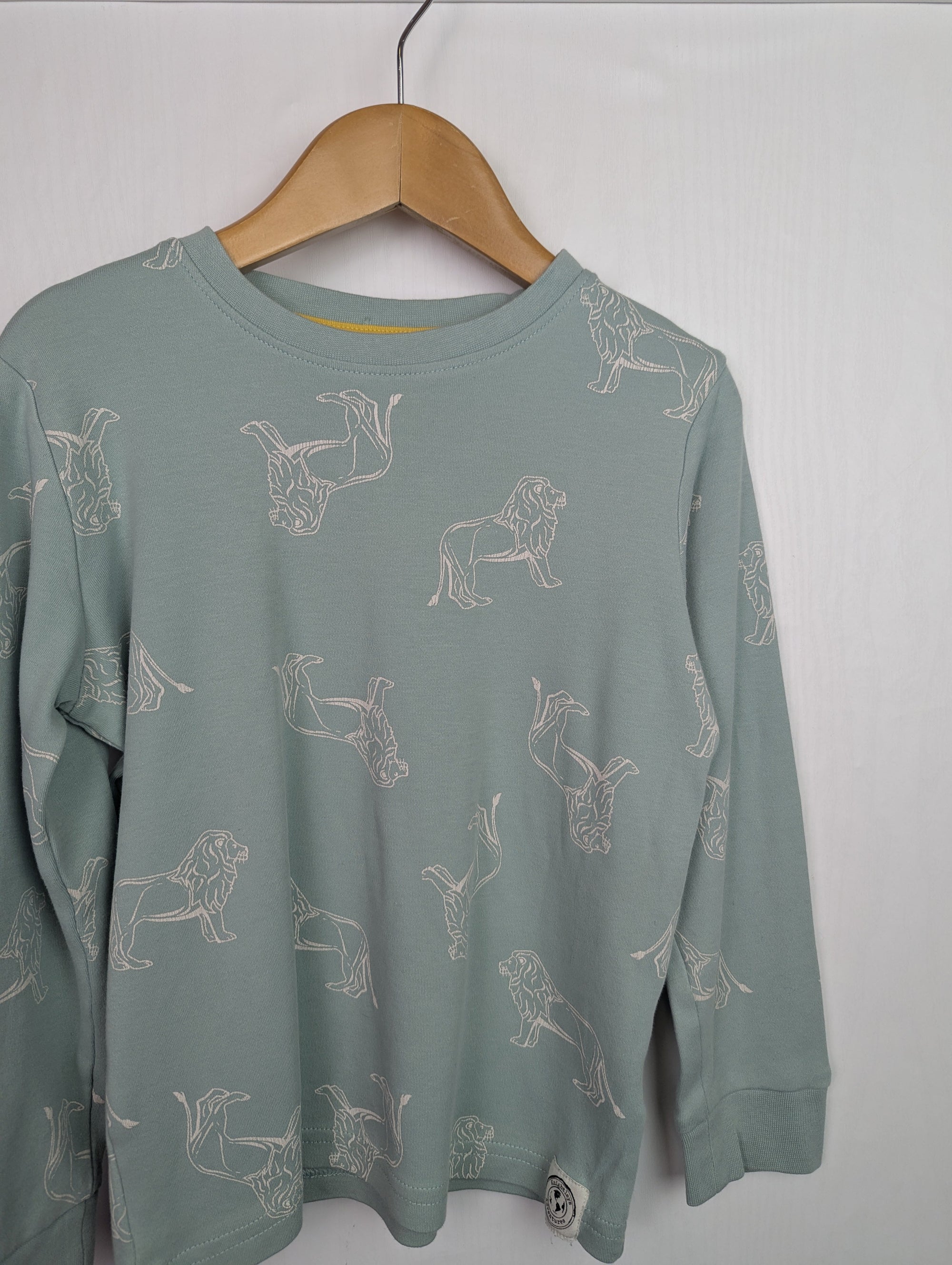 F&F Lion Teal Pyjama Top - Unisex 5 - 6 Years - Little Ones Preloved. Second Hand Children's & Preloved Baby, Kids, Girls & Boys Clothes. UK online