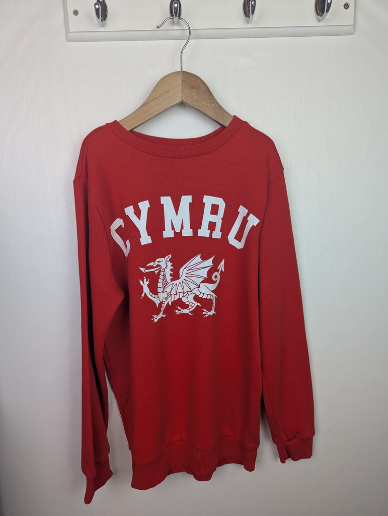 F&F Red Cymru Jumper - Boys 10-11 Years Little Ones Preloved Used, Preloved, Preworn Baby, Girls & Boys Clothes. Kids & Children's second hand Clothing UK Online. Cheap affordable. Brands including Next, Joules, Nutmeg Morrisons, TU, F&F, H&M.