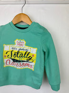 F&F Totally Awesome Jumper - Boys 9 - 12 Months - Little Ones Preloved. Second Hand Children's & Preloved Baby, Kids, Girls & Boys Clothes. UK online