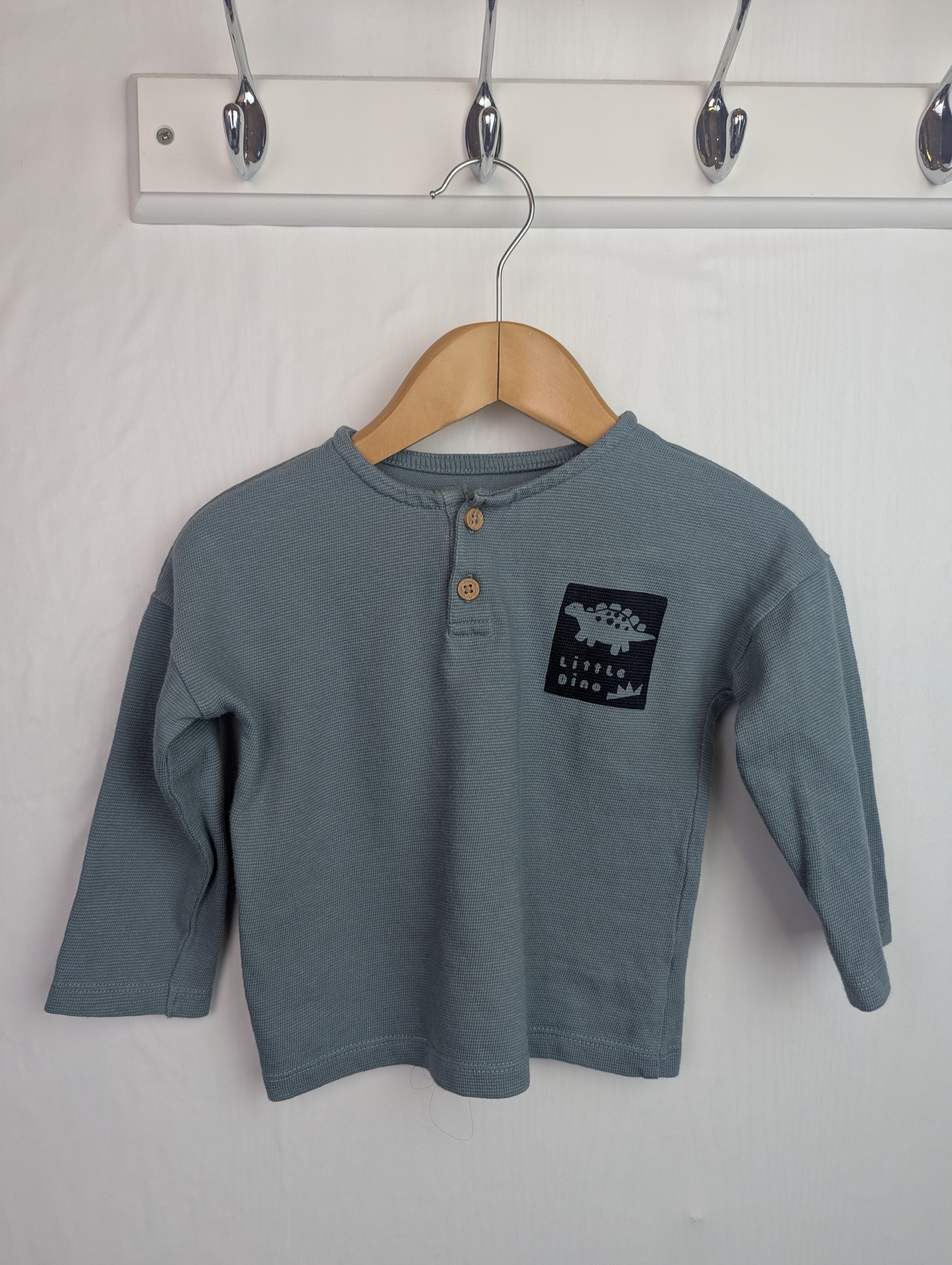 George Dinosaur Top - Boys 9 - 12 Months - Little Ones Preloved. Second Hand Children's & Preloved Baby, Kids, Girls & Boys Clothes. UK online
