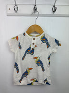 John Lewis Parrot Top - Boys 0 - 3 Months - Little Ones Preloved. Second Hand Children's & Preloved Baby, Kids, Girls & Boys Clothes. UK online
