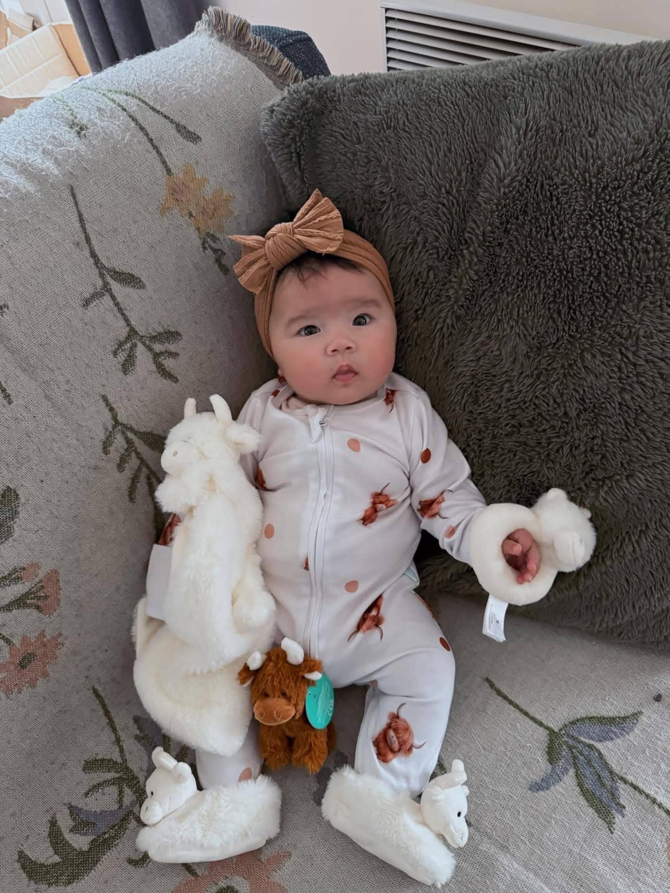Jomanda Highland Cow Plush Baby Slippers Cream - 0 - 6 months - Little Ones Preloved. Second Hand Children's & Preloved Baby, Kids, Girls & Boys Clothes. UK online
