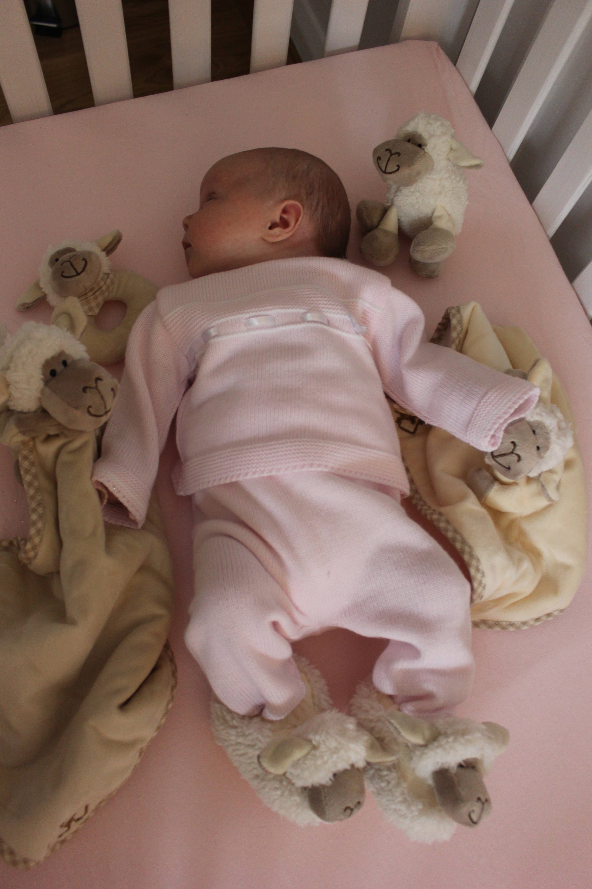 Jomanda Sheep Soft Plush Baby Slippers House Shoes, 0 - 6 months - Little Ones Preloved. Second Hand Children's & Preloved Baby, Kids, Girls & Boys Clothes. UK online