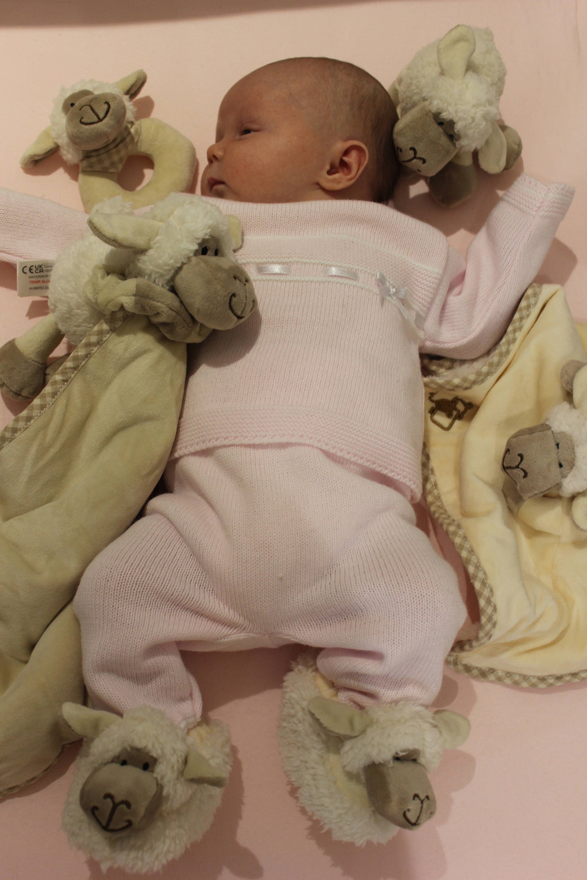 Jomanda Sheep Soft Plush Baby Slippers House Shoes, 0 - 6 months - Little Ones Preloved. Second Hand Children's & Preloved Baby, Kids, Girls & Boys Clothes. UK online