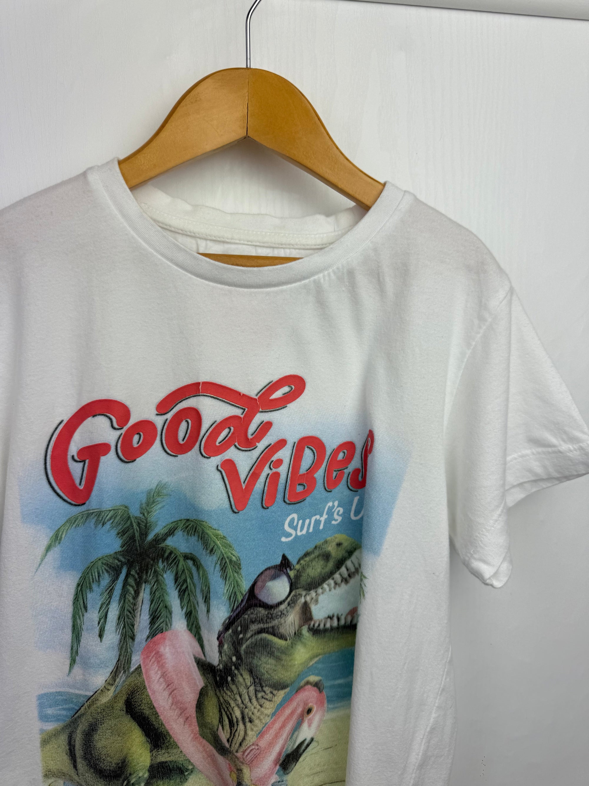 Matalan Surfing Dinosaur Top - Boys 10 Years - Little Ones Preloved. Second Hand Children's & Preloved Baby, Kids, Girls & Boys Clothes. UK online