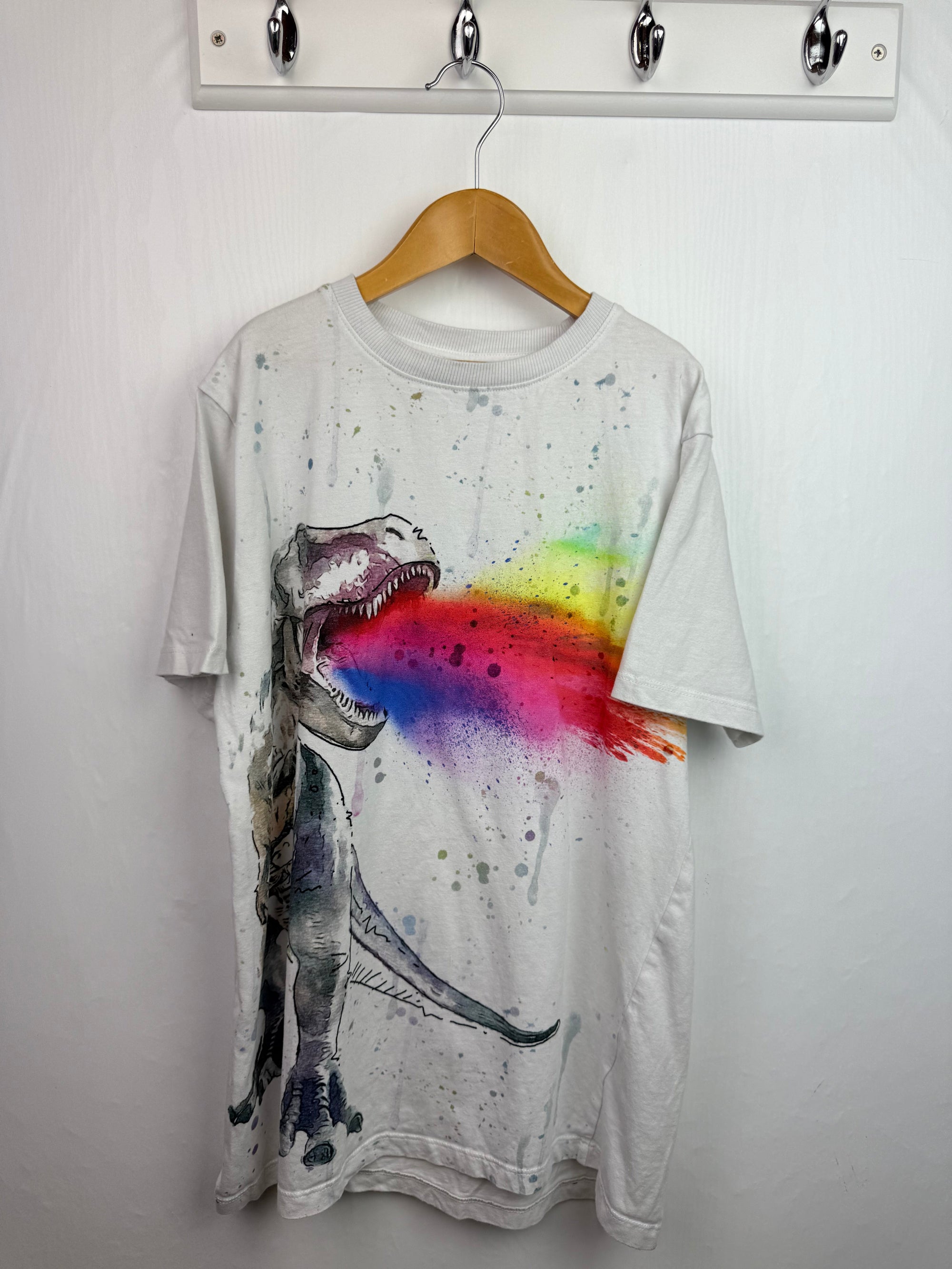 Next Multicolour Dinosaur Top - Boys 13 Years - Little Ones Preloved. Second Hand Children's & Preloved Baby, Kids, Girls & Boys Clothes. UK online