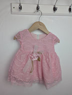 Unbranded Pink Mesh Dress - Girls 6 - 9 Months - Little Ones Preloved. Second Hand Children's & Preloved Baby, Kids, Girls & Boys Clothes. UK online
